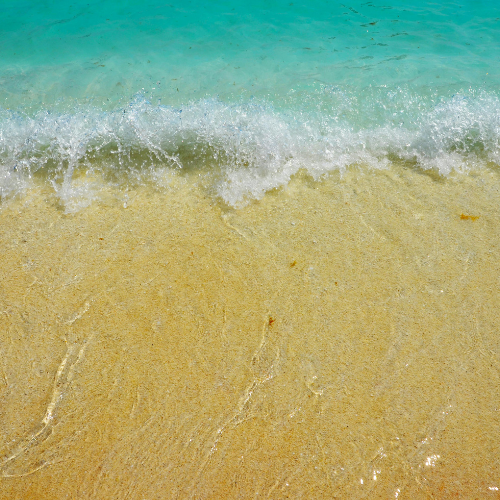 Aquatic Fragrances: The Ultimate Scent of Freshness and Summer Elegance