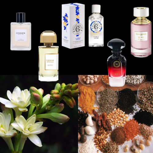 Floriental Fragrances: Where Floral Elegance Meets Warm Sensuality